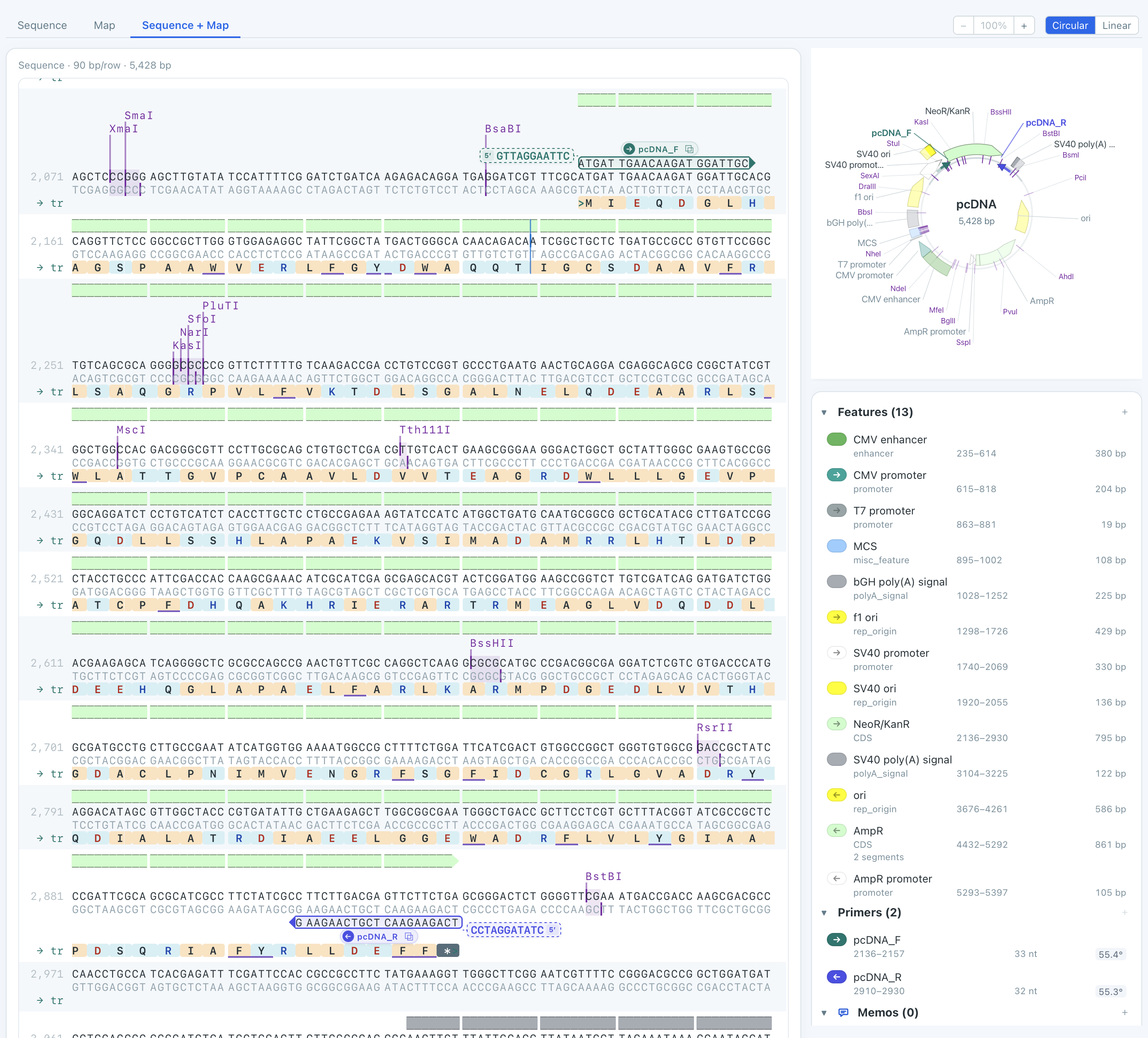 SeqSavvy plasmid vector editor/viewer showing DNA sequence, circular plasmid map, features, and primers