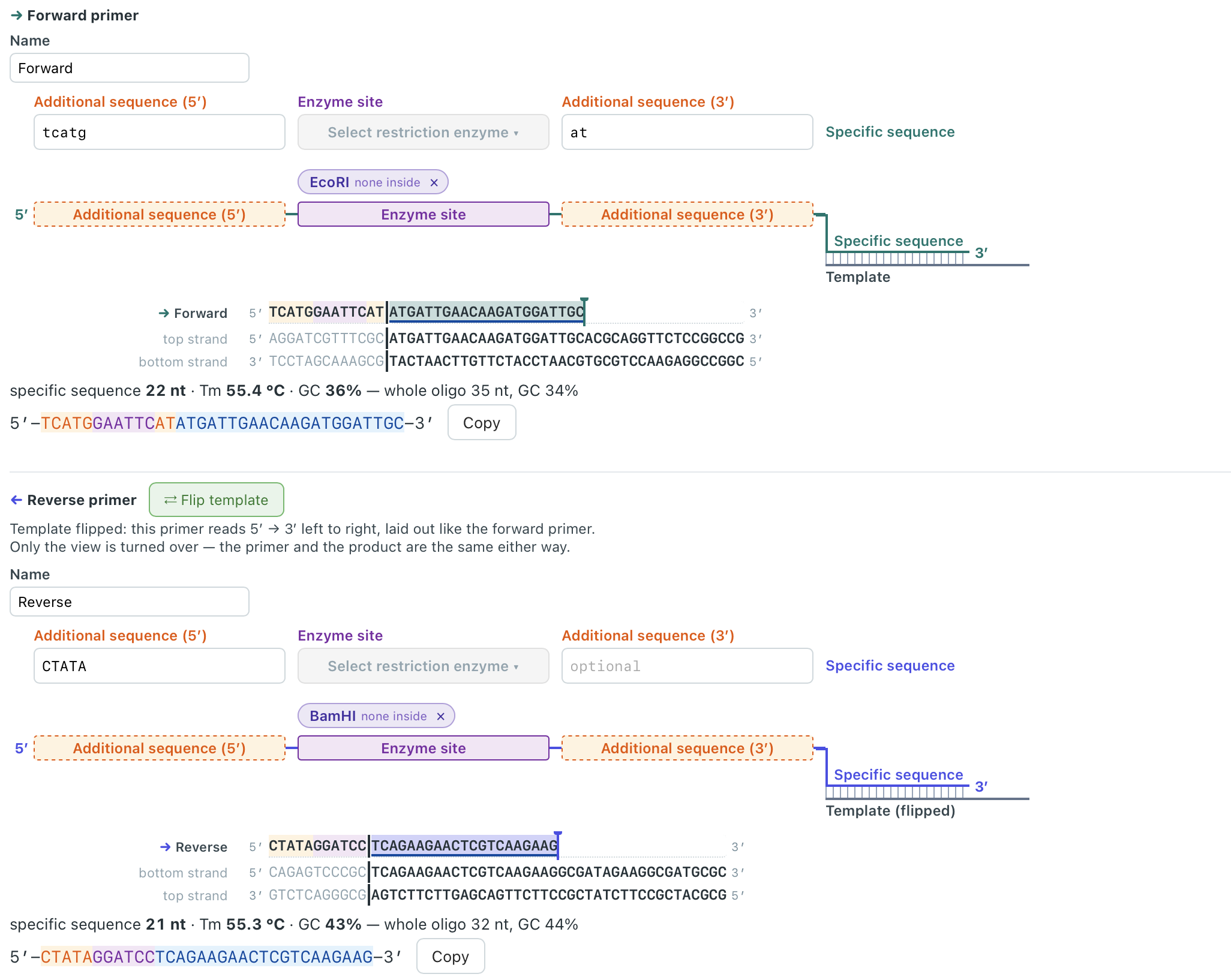SeqSavvy forward and reverse primer design interface showing added bases, restriction enzyme sites, and template binding