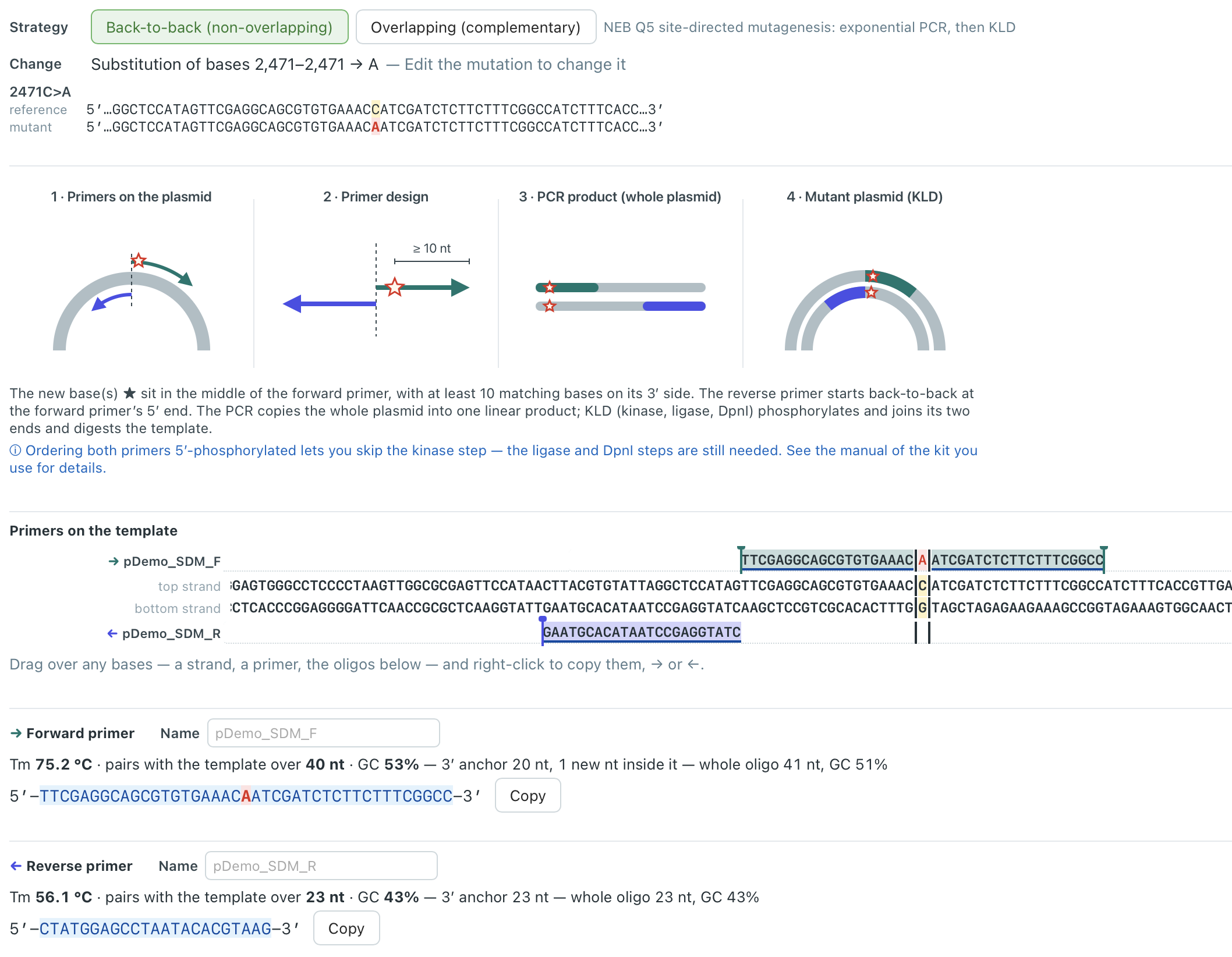 SeqSavvy site-directed mutagenesis planning interface showing mutation strategy, primer design, and mutant plasmid workflow